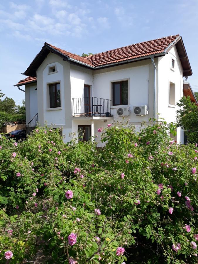 Popovi Koshari Guest House Dolno Panicherevo エクステリア 写真