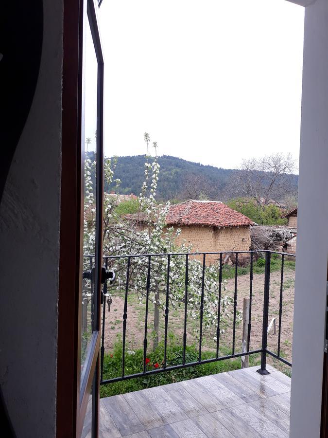 Popovi Koshari Guest House Dolno Panicherevo エクステリア 写真