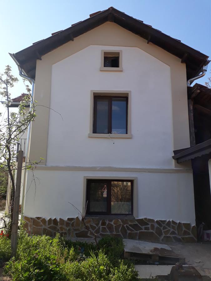 Popovi Koshari Guest House Dolno Panicherevo エクステリア 写真