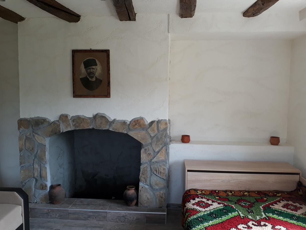 Popovi Koshari Guest House Dolno Panicherevo エクステリア 写真