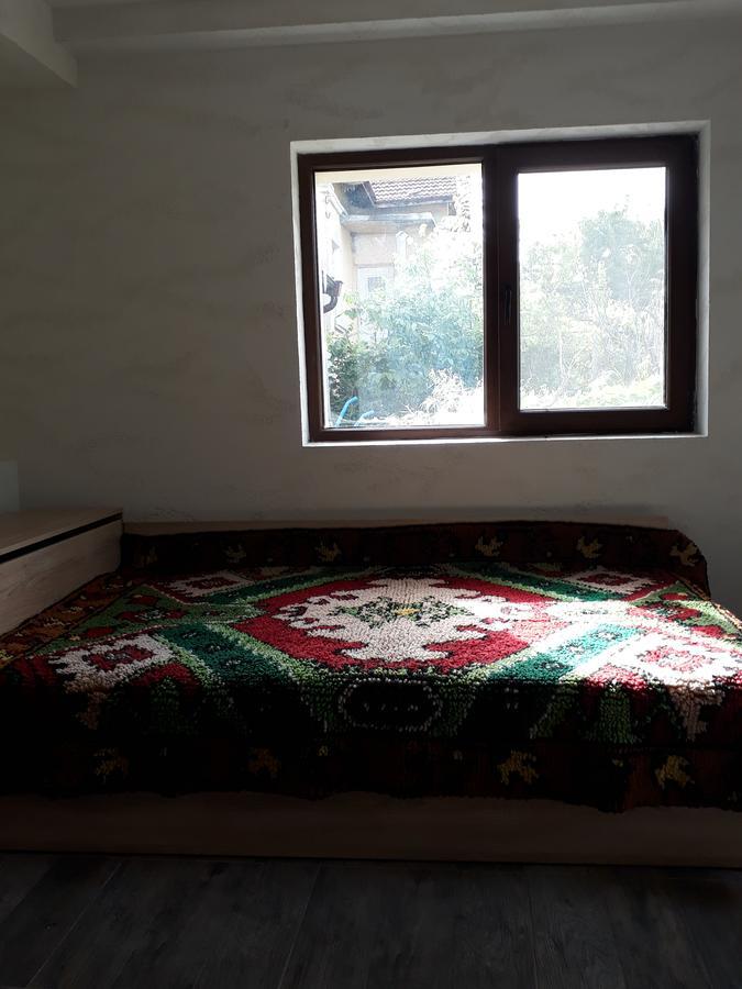Popovi Koshari Guest House Dolno Panicherevo エクステリア 写真