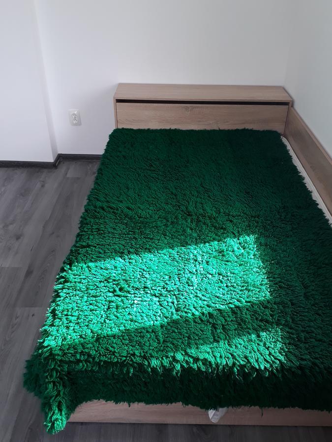 Popovi Koshari Guest House Dolno Panicherevo エクステリア 写真
